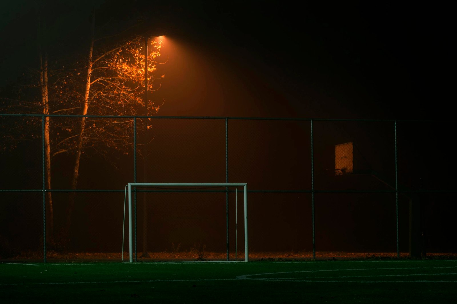 A dimly lit soccer field at night with an atmospheric spotlight and trees in the background.