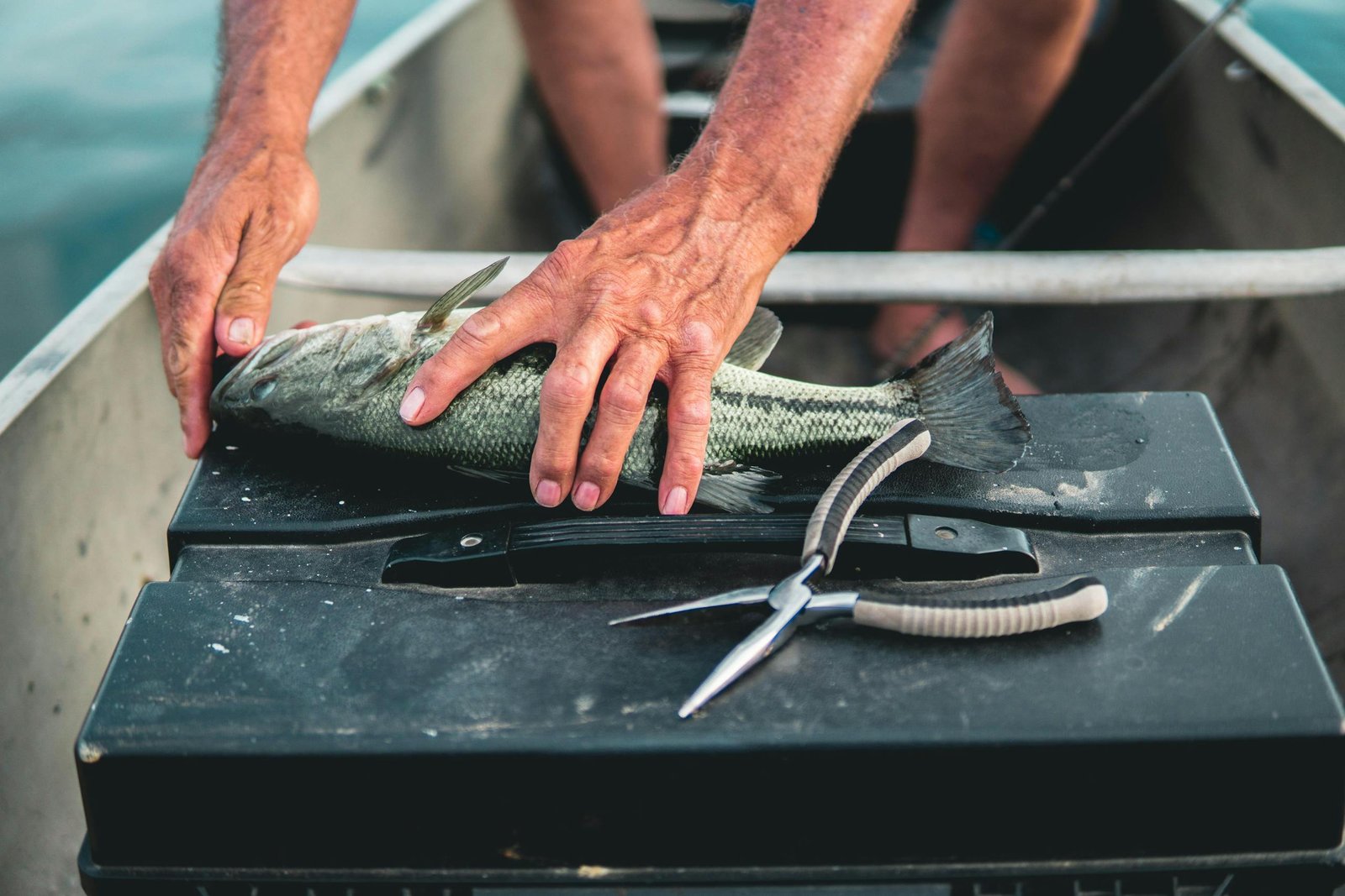 Close-up of a fisherman handling a fish with pliers on a toolbox, showcasing skill and precision.