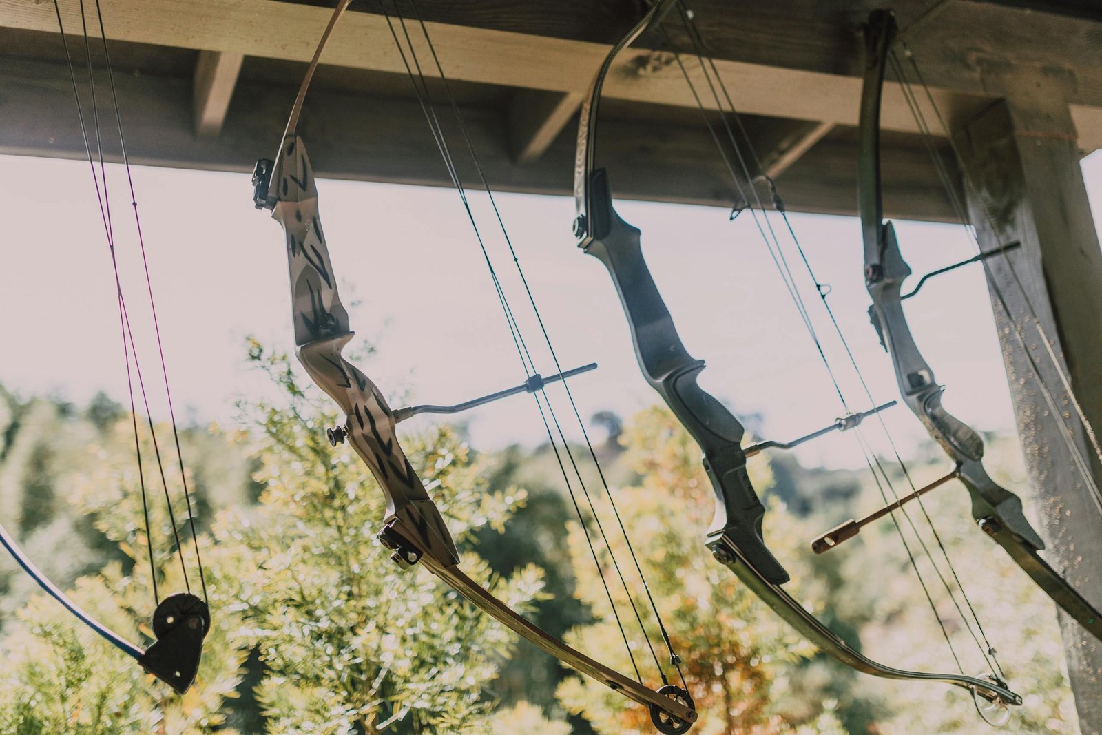 A collection of archery bows hanging outdoors, reflecting sunlight with a scenic background.