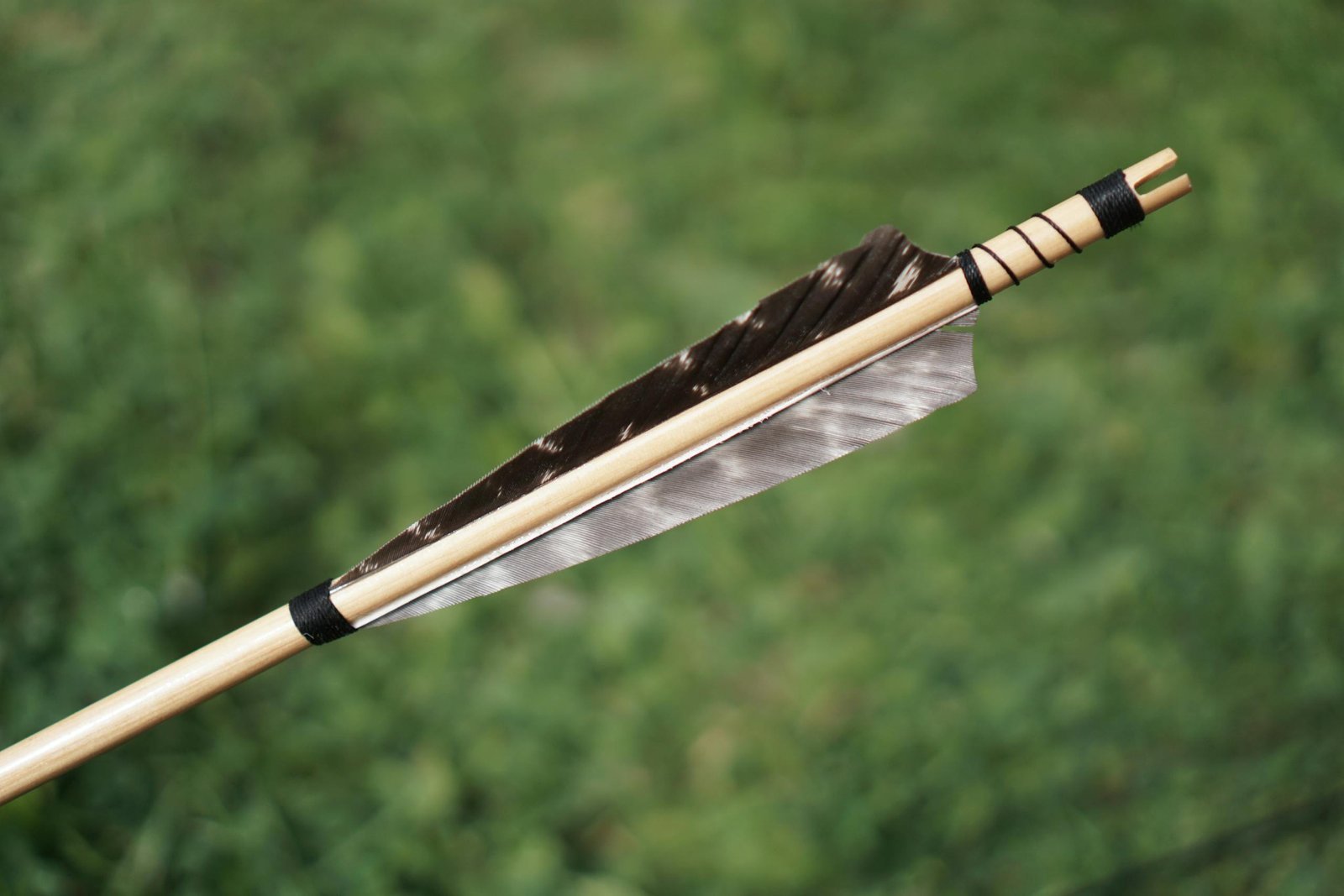 A detailed view of a traditional arrow with feather fletching against a blurred green background.