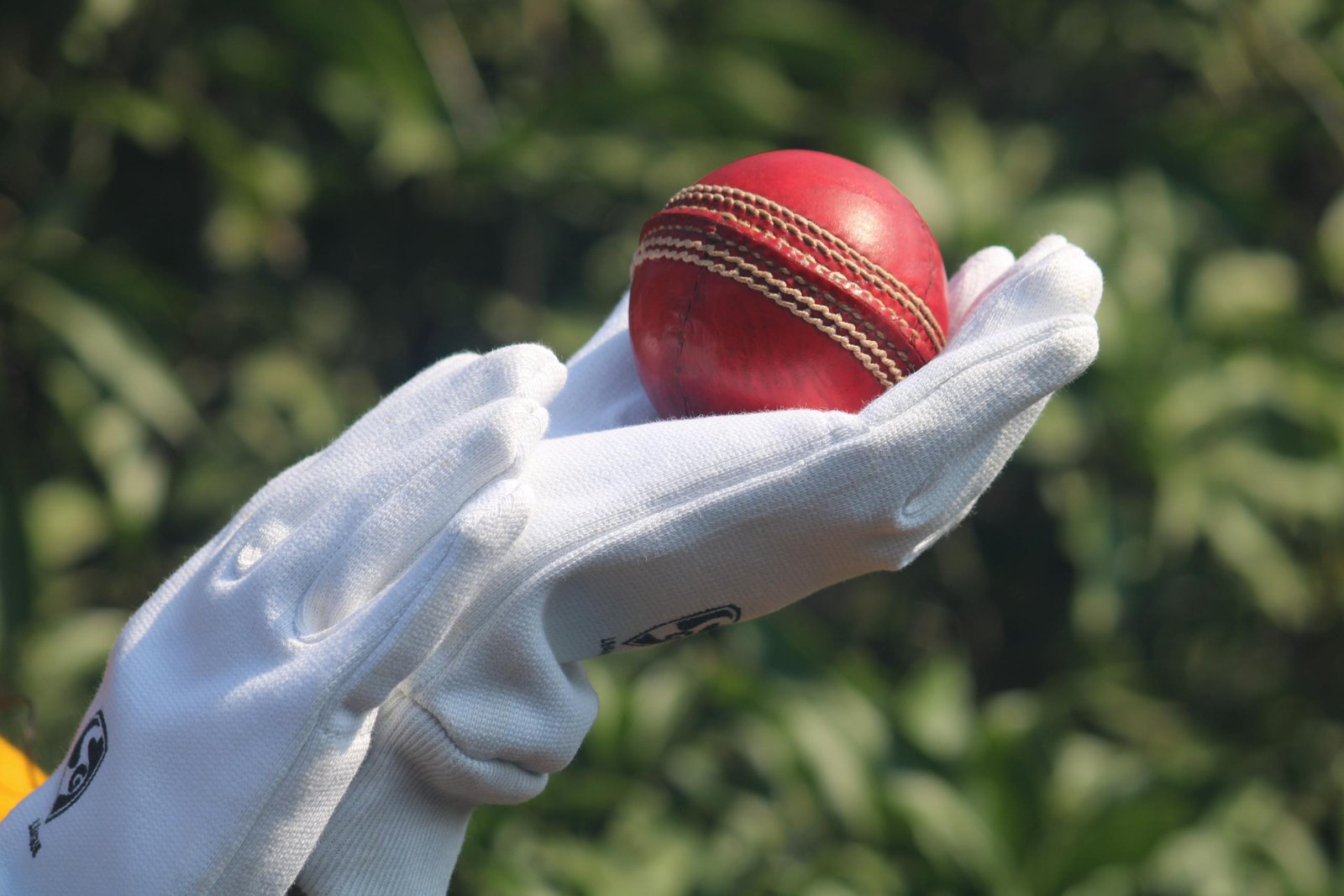 Detailed photo of a red cricket ball held by gloved hands outdoors.