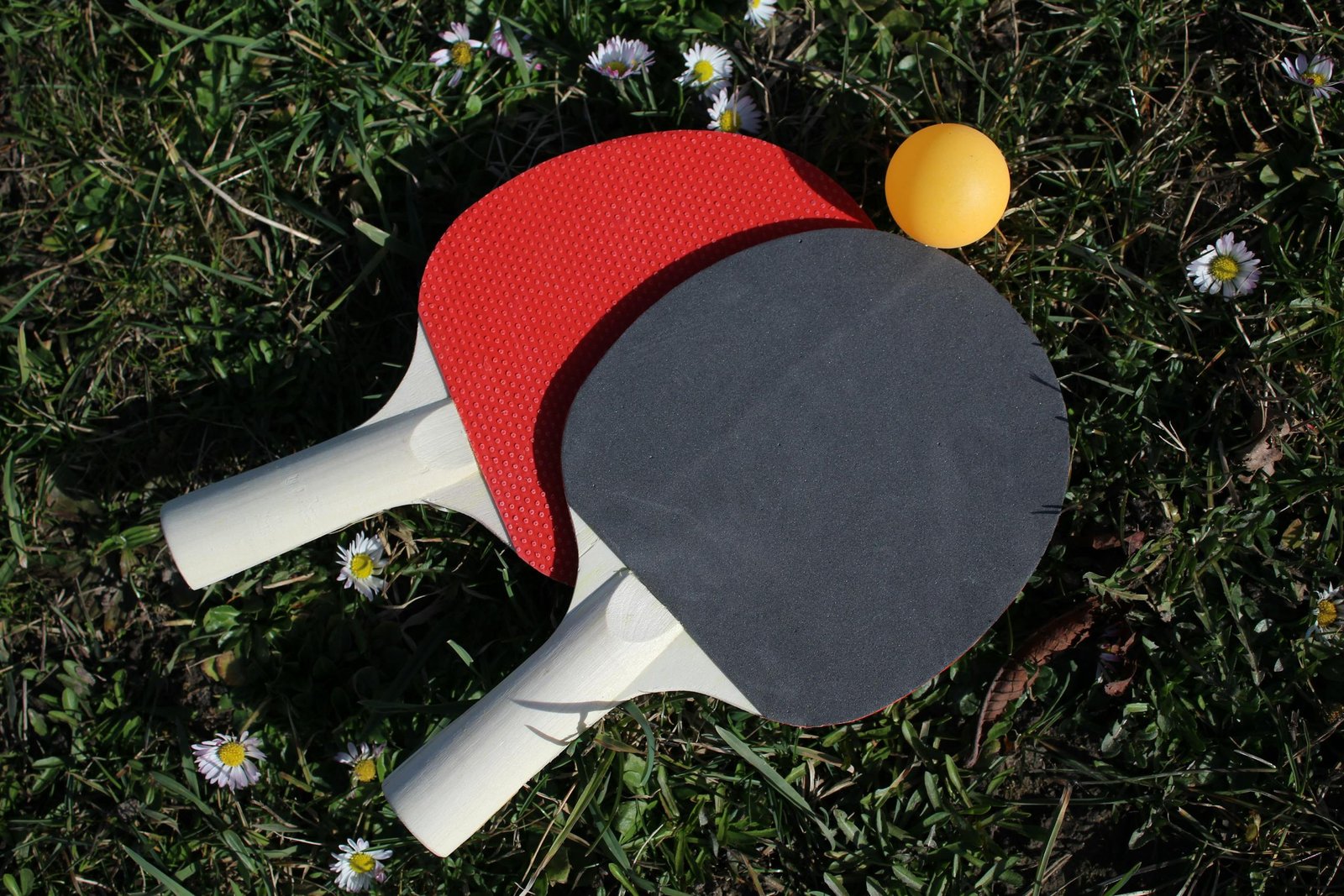 Table tennis rackets and ball on grass. Perfect for sports themes.